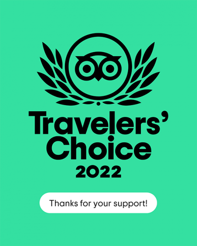 Tripadvisor Excellence
